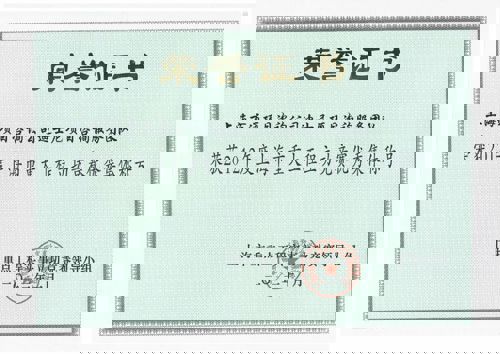 迪士尼项目咨询服务团队荣获2012年度上海市重大工程立功竞赛优秀集体称号