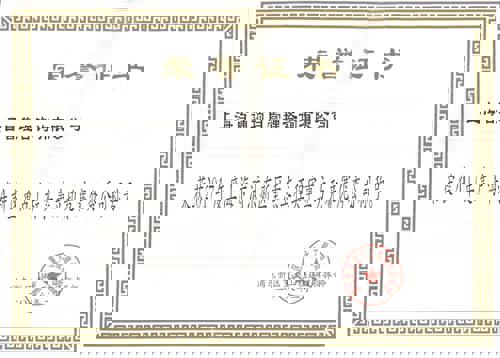 2017年浦东新区重点工程立功竞赛优秀公司