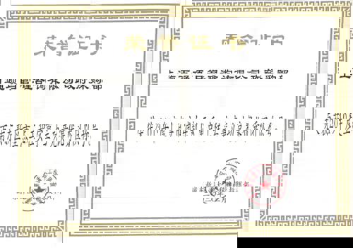政府采购部-2019年度新区重大工程实事立功竞赛“优秀团队”