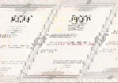 百通团支部2019年“沪东优秀团支部”