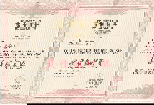 2019年度沪东党建信息“最佳组织奖”